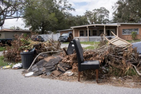 Yard Debris Removal and Recycling